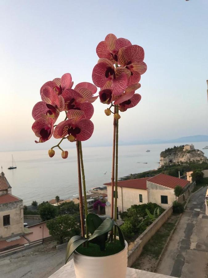 Residenza Luce Sul Mare Aparthotel Tropea Buitenkant foto